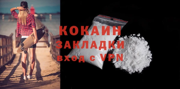 индика Кулебаки