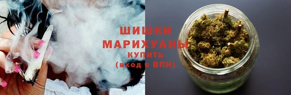стаф Корсаков