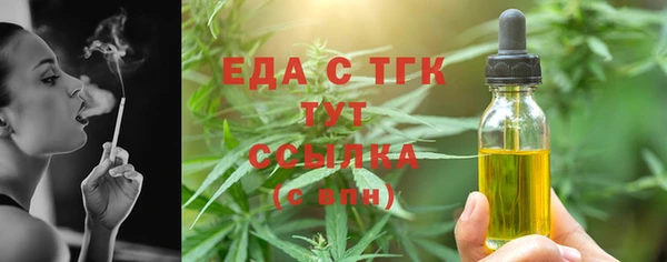 стаф Корсаков