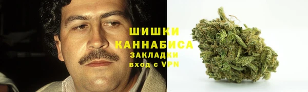 стаф Корсаков