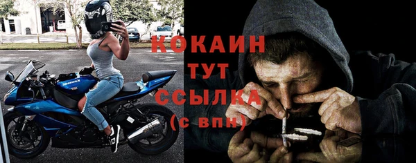 стаф Корсаков