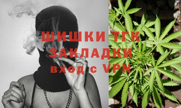 стаф Корсаков
